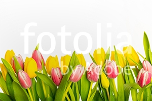 Natura - Podłogi 3D, Szkło dekoracyjne, Obrazy, Naklejki naścienne