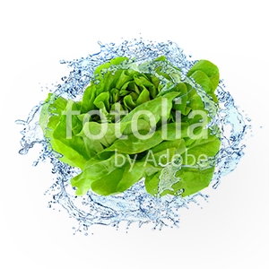 Natura - Podłogi 3D, Szkło dekoracyjne, Obrazy, Naklejki naścienne