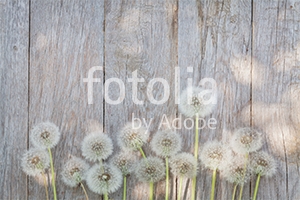 Natura - Podłogi 3D, Szkło dekoracyjne, Obrazy, Naklejki naścienne