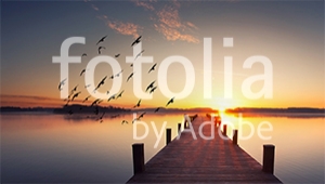 Natura - Podłogi 3D, Szkło dekoracyjne, Obrazy, Naklejki naścienne