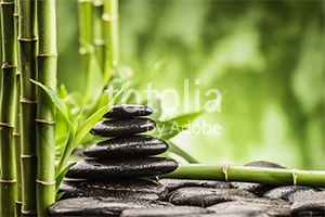 Natura - Podłogi 3D, Szkło dekoracyjne, Obrazy, Naklejki naścienne