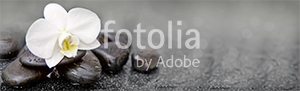 Natura - Podłogi 3D, Szkło dekoracyjne, Obrazy, Naklejki naścienne