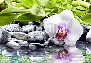 Natura - Podłogi 3D, Szkło dekoracyjne, Obrazy, Naklejki naścienne