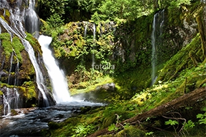 Natura - Podłogi 3D, Szkło dekoracyjne, Obrazy, Naklejki naścienne