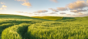 Natura - Podłogi 3D, Szkło dekoracyjne, Obrazy, Naklejki naścienne