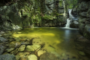 Natura - Podłogi 3D, Szkło dekoracyjne, Obrazy, Naklejki naścienne
